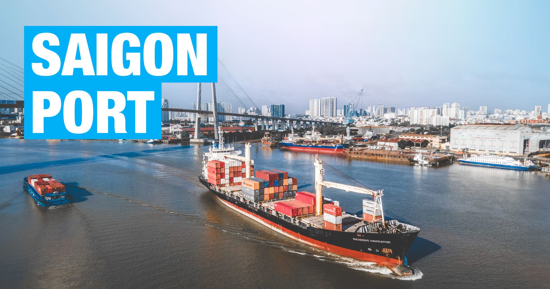 From Dock to Hub: Saigon Port's Role in Vietnam Economic Surge